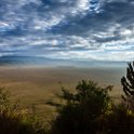 TZA ARU Ngorongoro 2016DEC26 Crater 010 : 2016, 2016 - African Adventures, Africa, Arusha, Crater, Date, December, Eastern, Month, Ngorongoro, Places, Tanzania, Trips, Year